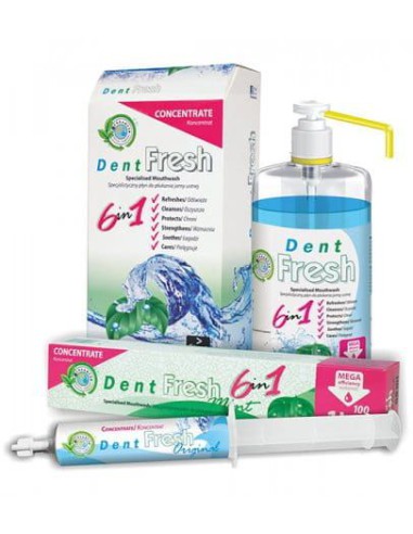 ZL.  Dent Fresh-Zestaw Startowy 50ml Mint/Zielona
