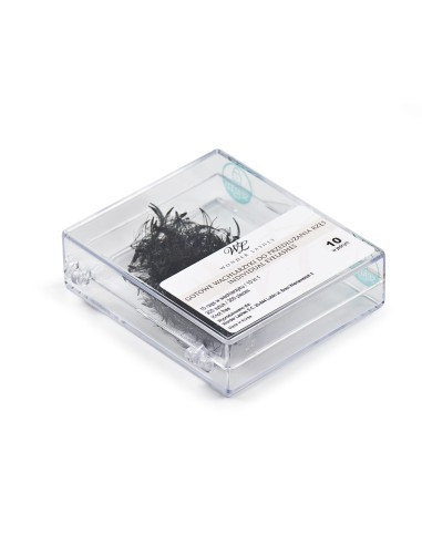 ZN.  Wachlarzyki WonderLashes 10w1   B 0,07x11