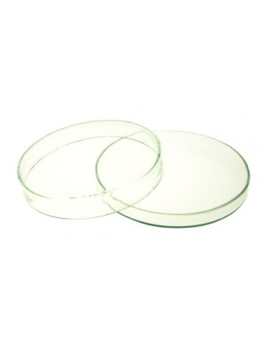 Y.  Płytka Petriego B.Duża - 100mm