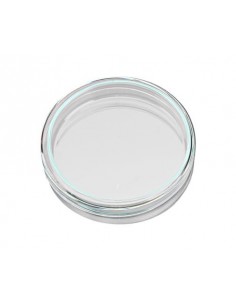 Y.  Płytka Petriego b.Mała...