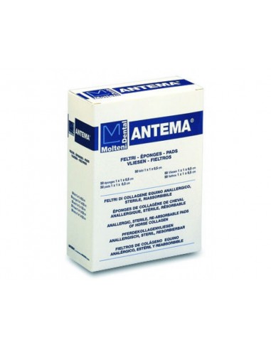 I.  Gąbka Antema 1x1x0,05cm - 50szt.