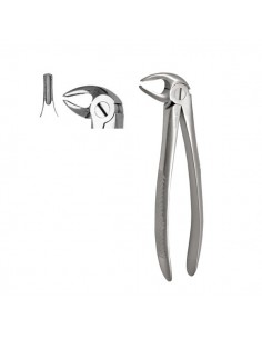 ZA.  Kleszcze Berteny