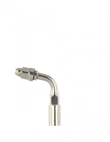 ZD.  Końcówka skal. Woodpecker:...