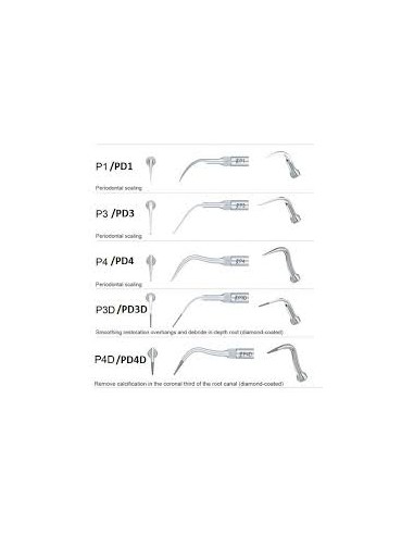 ZD.  Końcówka skalera Woodpecker PD3