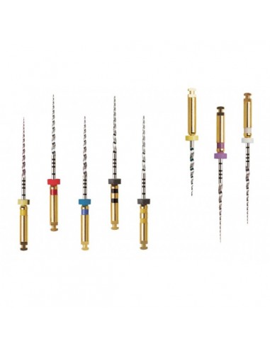 Ł.  Protaper 19mm SX ręczne 6szt