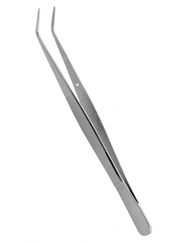 Z.  Pinceta Stomatologiczna College...