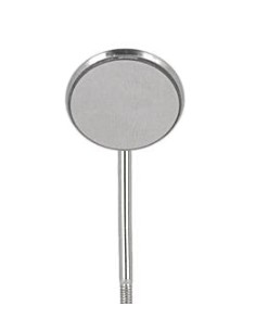 Z.  Lusterko Rodowane...