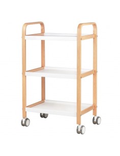 ZN.  Pomocnik Kosmetyczny...