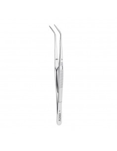 Z.  Pinceta Collage z Zamkiem