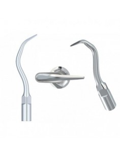 ZD.  Końcówka skal....