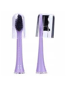 ZL.  Seysso końcówki...